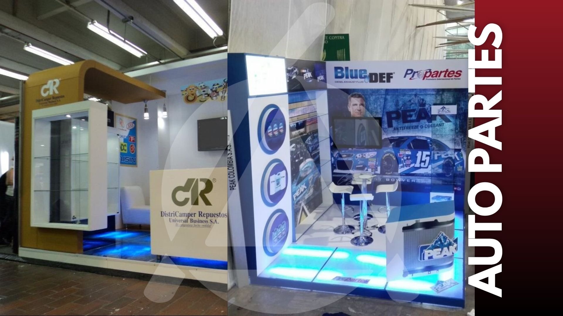 Proyecto 17